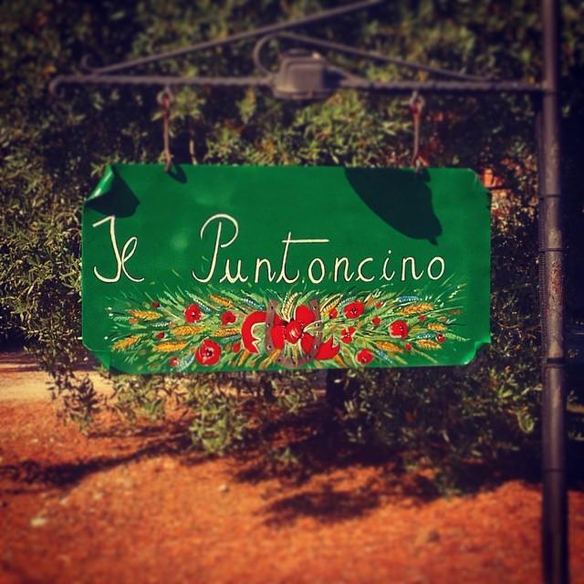 Agriturismo Il Puntoncino Marsiliana Eksteriør bilde