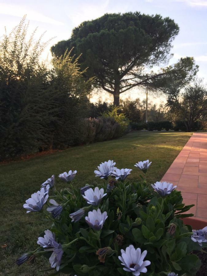 Agriturismo Il Puntoncino Marsiliana Eksteriør bilde